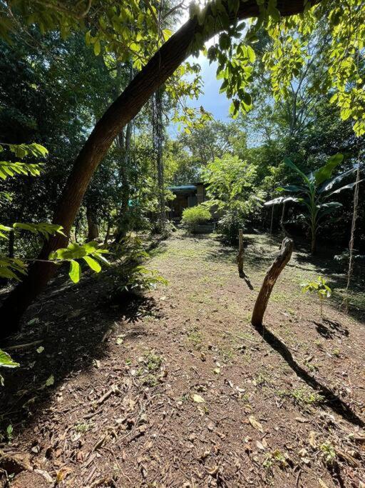 Magica Cabana En Medio Del Bosque En Isla Venado Villa Lepanto Екстериор снимка