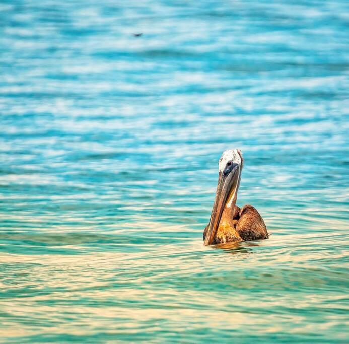 Magica Cabana En Medio Del Bosque En Isla Venado Villa Lepanto Екстериор снимка