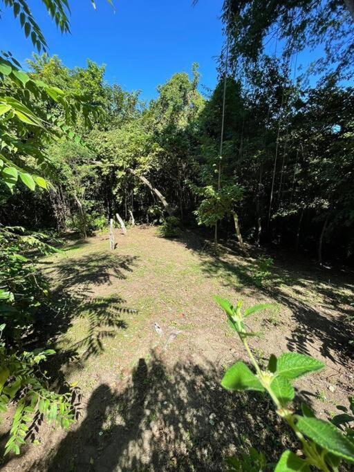 Magica Cabana En Medio Del Bosque En Isla Venado Villa Lepanto Екстериор снимка